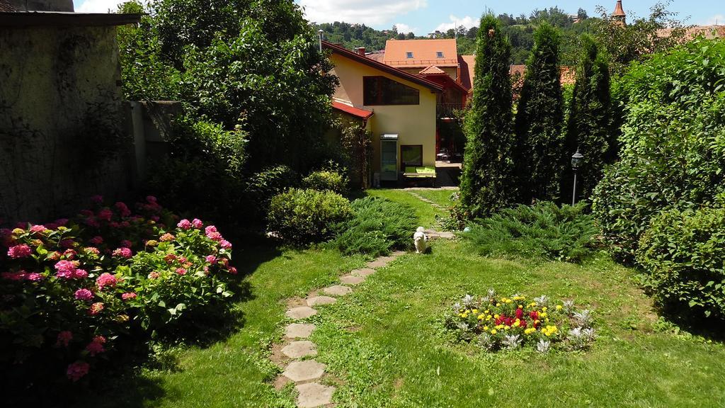 Doly House Villa Braşov Exterior foto